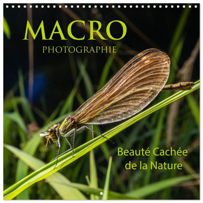 MACRO PHOTOGRAPHIE Beauté Cachée de la Nature (Calendrier mural carré 2026 30x30 cm) Calendrier double avec une page pour vos prises de notes - Thierry Planche