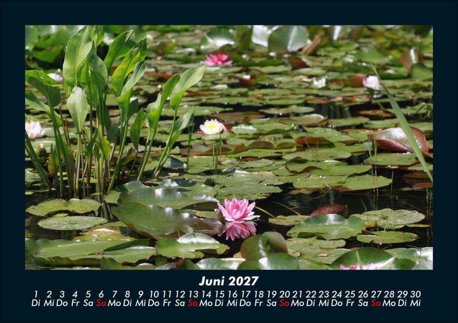 InsideView 10