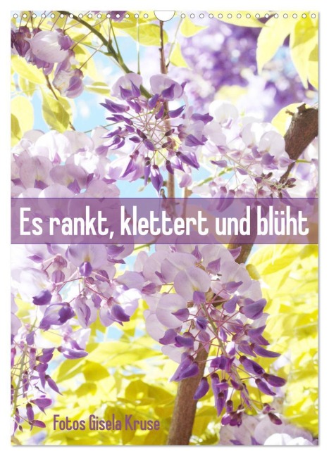 Es rankt, klettert und blüht (Wandkalender 2026 DIN A3 hoch), CALVENDO Monatskalender - Gisela Kruse