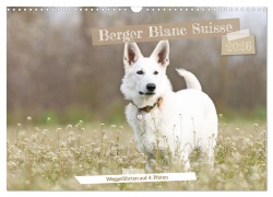 Berger Blanc Suisse - Weggefährten auf 4 Pfoten (Wandkalender 2026 DIN A3 quer), CALVENDO Monatskalender - Andrea Potratz