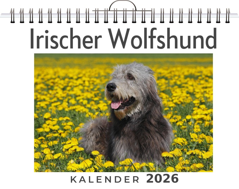 Irischer Wolfshund - Julia Hartmann