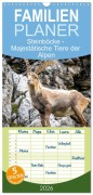 Cover-Bild zum Titel 'Familienplaner 2026 - Steinböcke - Majestätische Tiere der Alpen mit 5 Spalten (Wandkalender, 21 x 45 cm) CALVENDO' von 'Sven Burbott'