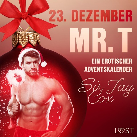 23. Dezember: Mr. T ¿ ein erotischer Adventskalender - Jay Cox