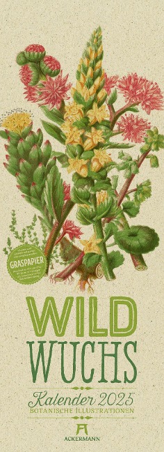 Wildwuchs - Botanische Illustrationen - Graspapier-Kalender 2025 - Anne Pratt, Ackermann Kunstverlag