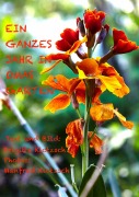 Cover-Bild zum Titel 'Ein ganzes Jahr in Omas Garten' von 'Brigitte Klotzsch'