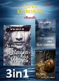 Cover-Bild zum Titel 'Dana Kilborne ebundle #5' von 'Dana Kilborne'