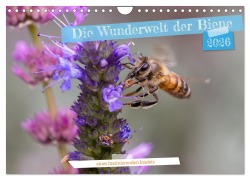Cover-Bild zum Titel 'Die Wunderwelt der Biene (Wandkalender 2026 DIN A4 quer), CALVENDO Monatskalender' von 'Christian Müller'