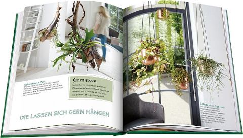 InsideView 2
