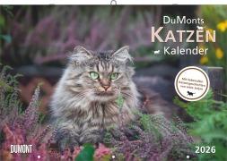 DUMONTS Katzenkalender 2026 - Broschürenkalender - Wandkalender - mit Schulferienterminen - Format 42 x 29 cm - 