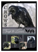 Cover-Bild zum Titel 'Crows - Through the Seasons (Wall Calendar 2026 DIN A2 portrait), CALVENDO 12 Month Wall Calendar' von 'Irene Saar'