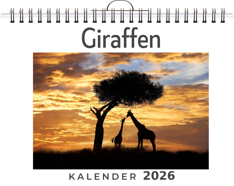 Giraffen - David Werner