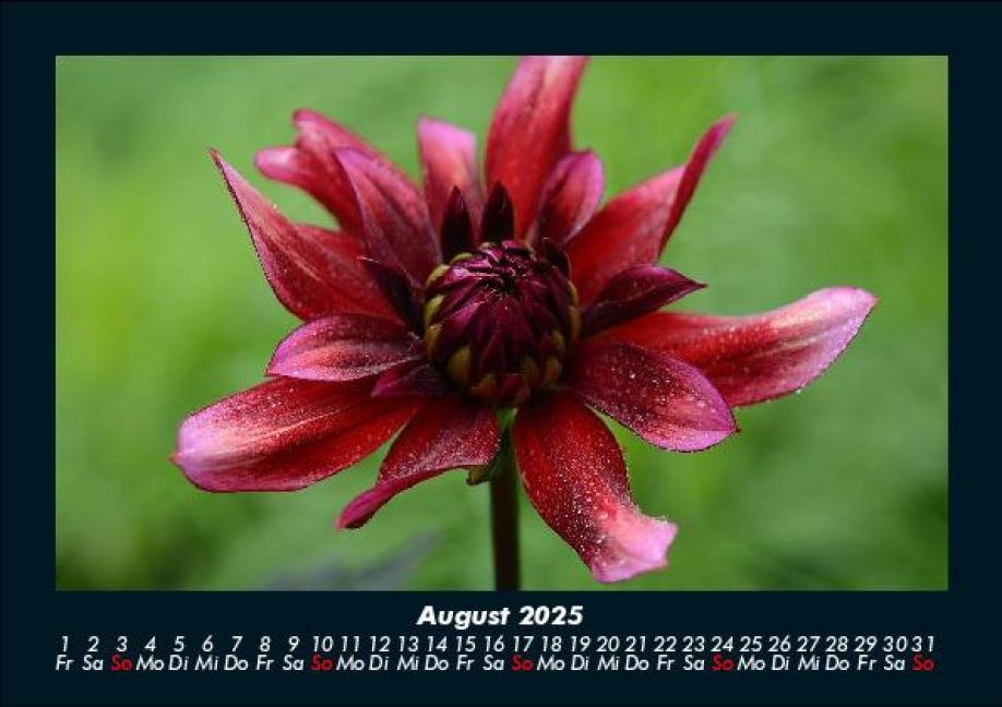 InsideView 12