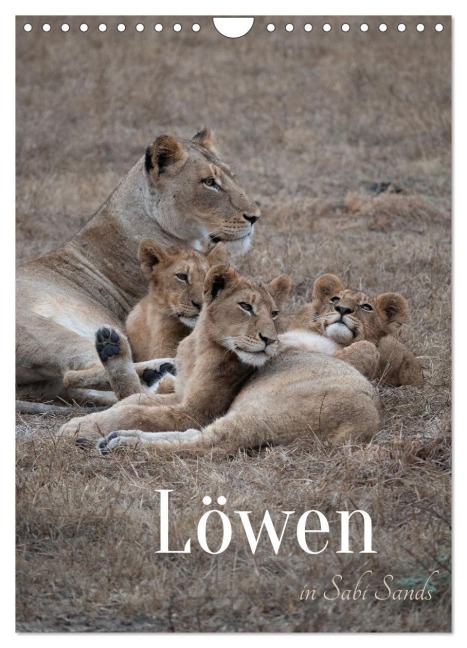 Löwen in Sabi Sands (Wandkalender 2026 DIN A4 hoch), CALVENDO Monatskalender - Photografie-Iam. Ch Photografie-Iam. Ch