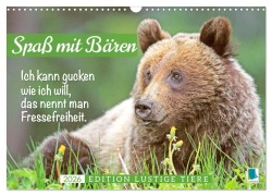 Cover-Bild zum Titel 'Spaß mit Bären: Edition lustige Tiere (Wandkalender 2026 DIN A3 quer), CALVENDO Monatskalender' von 'Calvendo Calvendo'