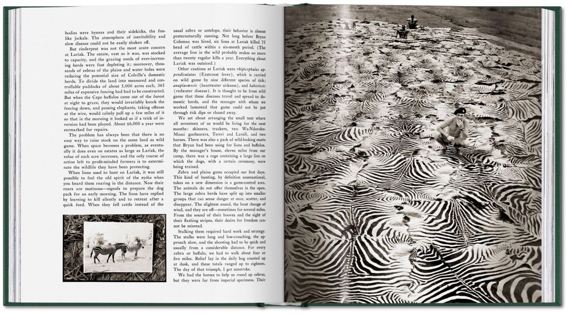 InsideView 20