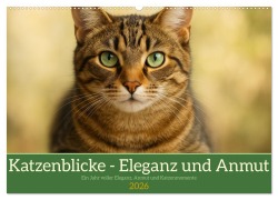 Cover-Bild zum Titel 'Katzenblicke - Eleganz und Anmut (Wandkalender 2026 DIN A2 quer), CALVENDO Monatskalender' von 'Rose El Rose'