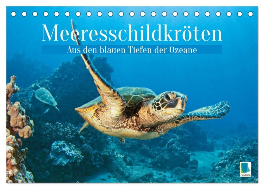 Meeresschildkröten: Aus den blauen Tiefen der Ozeane (Tischkalender 2026 DIN A5 quer), CALVENDO Monatskalender - Calvendo Calvendo