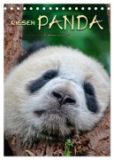 Cover-Bild zum Titel 'Riesenpanda (Tischkalender 2026 DIN A5 hoch), CALVENDO Monatskalender' von 'Peter Roder'