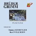 Cover-Bild zum Titel 'Dornröschen' von 'Brüder Grimm'