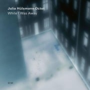 Cover-Bild zum Titel 'While I Was Away' von 'Julia Octet Hülsmann'