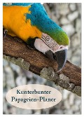 Kunterbunter Papageien-Planer (Wandkalender 2025 DIN A2 hoch), CALVENDO Monatskalender - Angelika Beuck