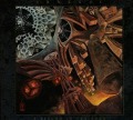 Cover-Bild zum Titel 'A Beacon In The Husk' von 'Abyssal'