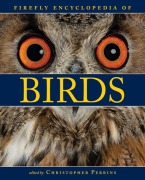 Cover-Bild zum Titel 'Firefly Encyclopedia of Birds' von ''