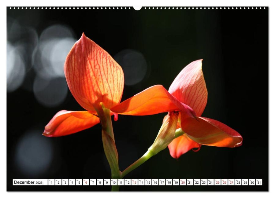 InsideView 4