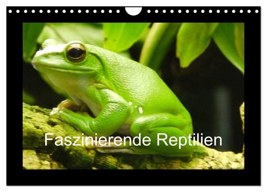 Faszinierende Reptilien (Wandkalender 2026 DIN A4 quer), CALVENDO Monatskalender - Sven Herkenrath