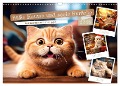 Süße Katzen und coole Sprüche (Wandkalender 2025 DIN A3 quer), CALVENDO Monatskalender - Melanie Viola