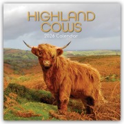 Highland Cows - Hochland-Kühe - Hochlandrinder 2026 - 16-Monatskalender - Gifted Stationery Co. Ltd