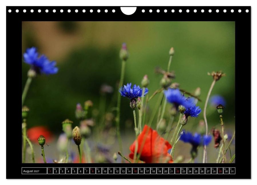 InsideView 13