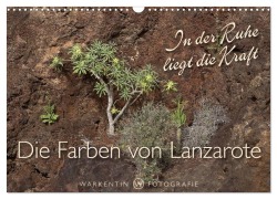 Die Farben von Lanzarote - In der Ruhe liegt die Kraft (Wandkalender 2025 DIN A3 quer), CALVENDO Monatskalender - Karl H. Warkentin