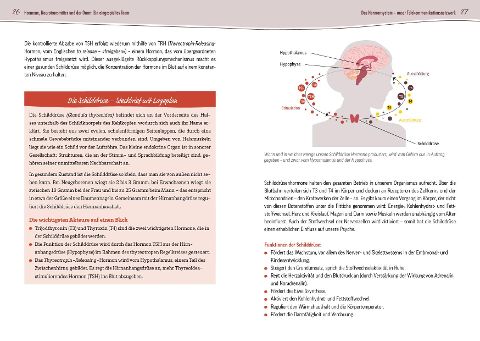 InsideView 1