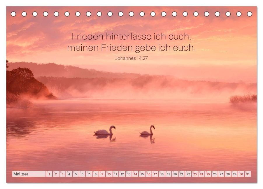 InsideView 10