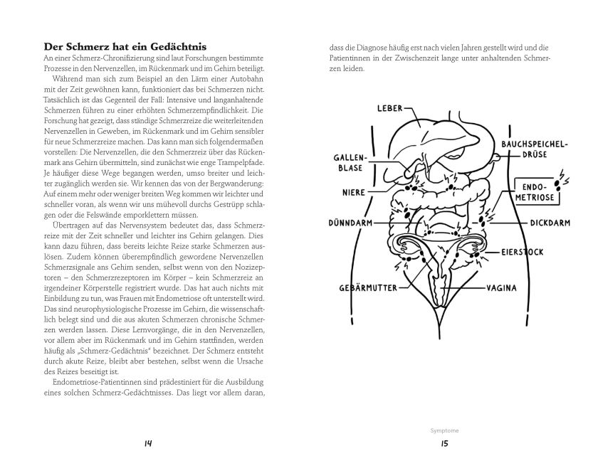 InsideView 4