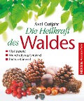 Cover-Bild zum Titel 'Die Heilkraft des Waldes' von 'Axel Gutjahr'