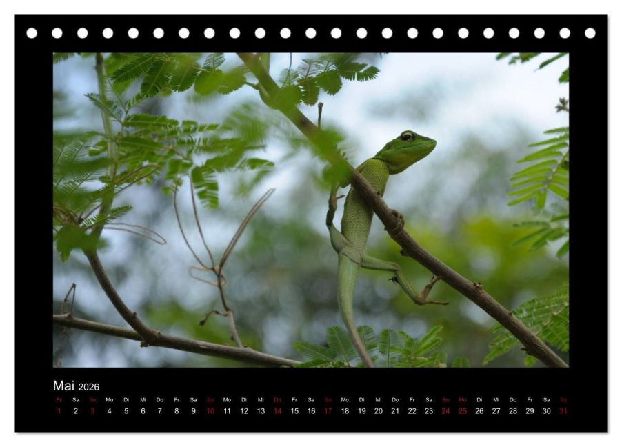 InsideView 10