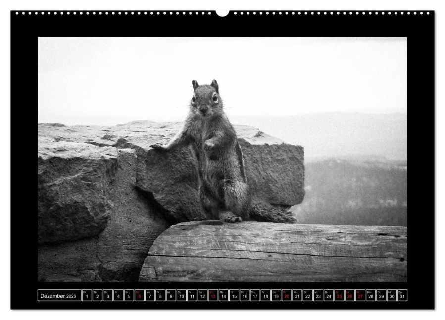 InsideView 4