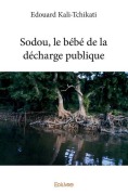 Cover-Bild zum Titel 'Sodou, le bébé de la décharge publique' von 'Édouard Kali-Tchikati'