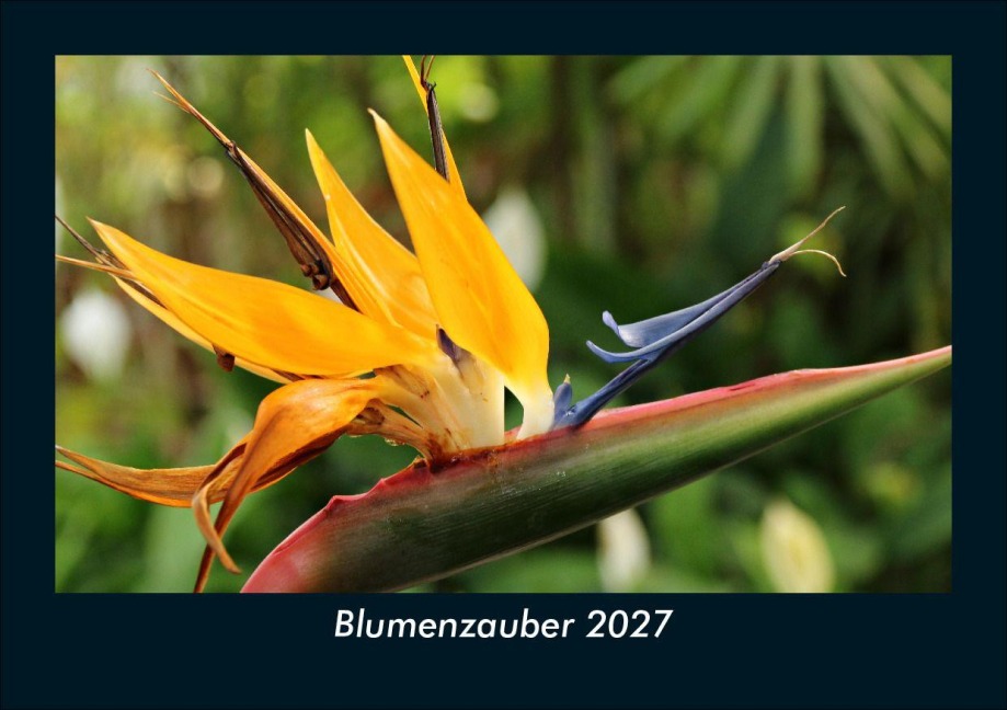 Blumenzauber 2027 Fotokalender DIN A5 - Kevin Heber, Tobias Schmitt