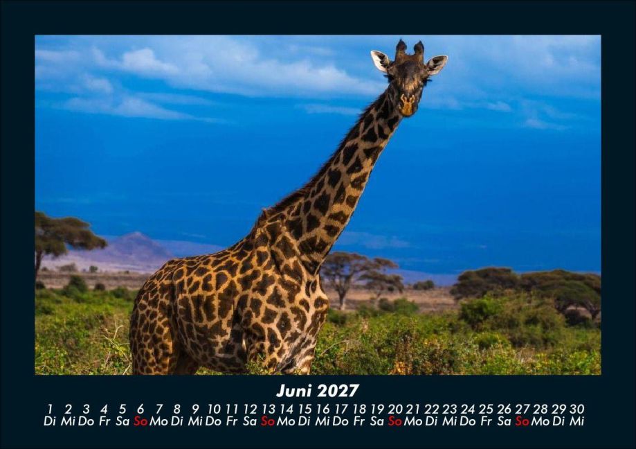 InsideView 10