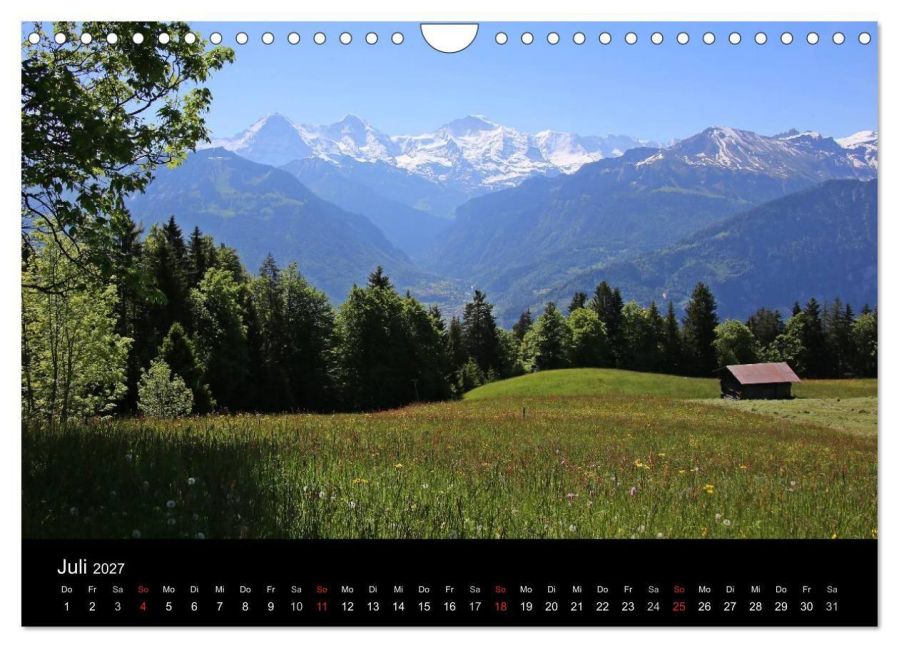InsideView 12