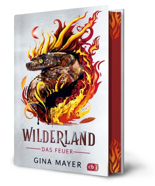 Wilderland - Das Feuer (Bd. 2) - Gina Mayer