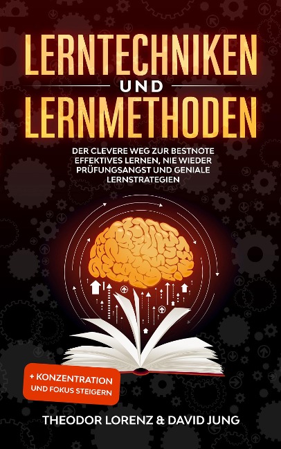 Lerntechniken und Lernmethoden - Theodor Lorenz, David Jung