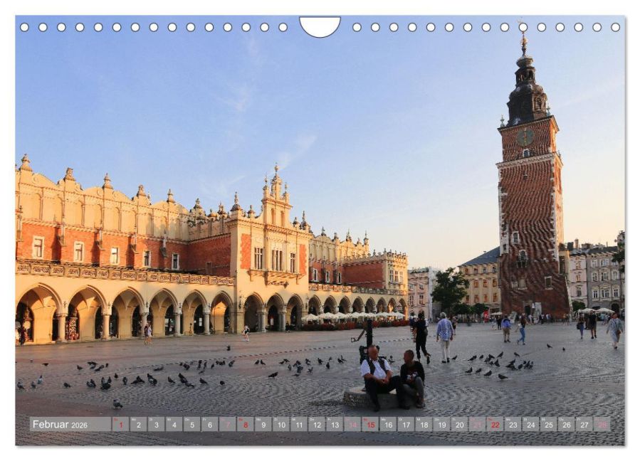 InsideView 7