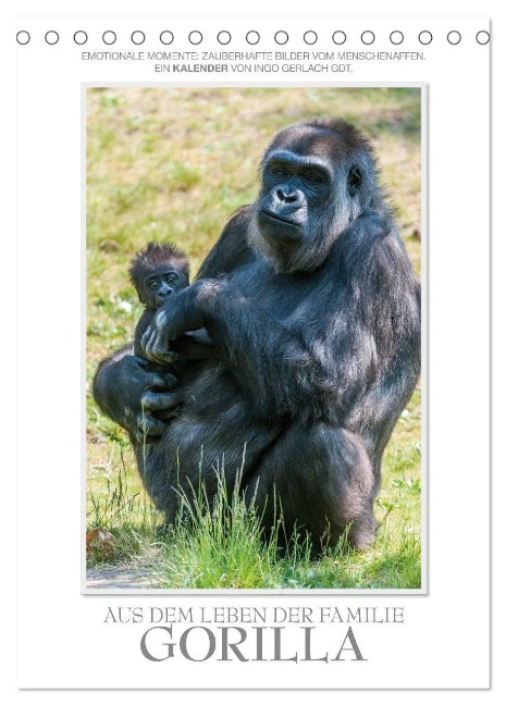 Emotionale Momente: Aus dem Leben der Familie Gorilla. / CH-Version (Tischkalender 2024 DIN A5 hoch), CALVENDO Monatskalender - Ingo Gerlach GDT