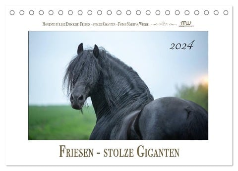 Friesen - stolze Giganten (Tischkalender 2024 DIN A5 quer), CALVENDO Monatskalender - Martina Wrede
