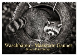 Cover-Bild zum Titel 'Waschbären - Maskierte Gauner (Wandkalender 2026 DIN A3 quer), CALVENDO Monatskalender' von 'Klaus-Peter Selzer'