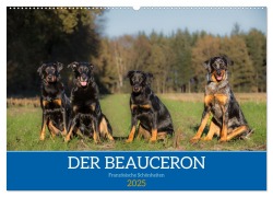 Der Beauceron (Wandkalender 2025 DIN A2 quer), CALVENDO Monatskalender - Annett Mirsberger